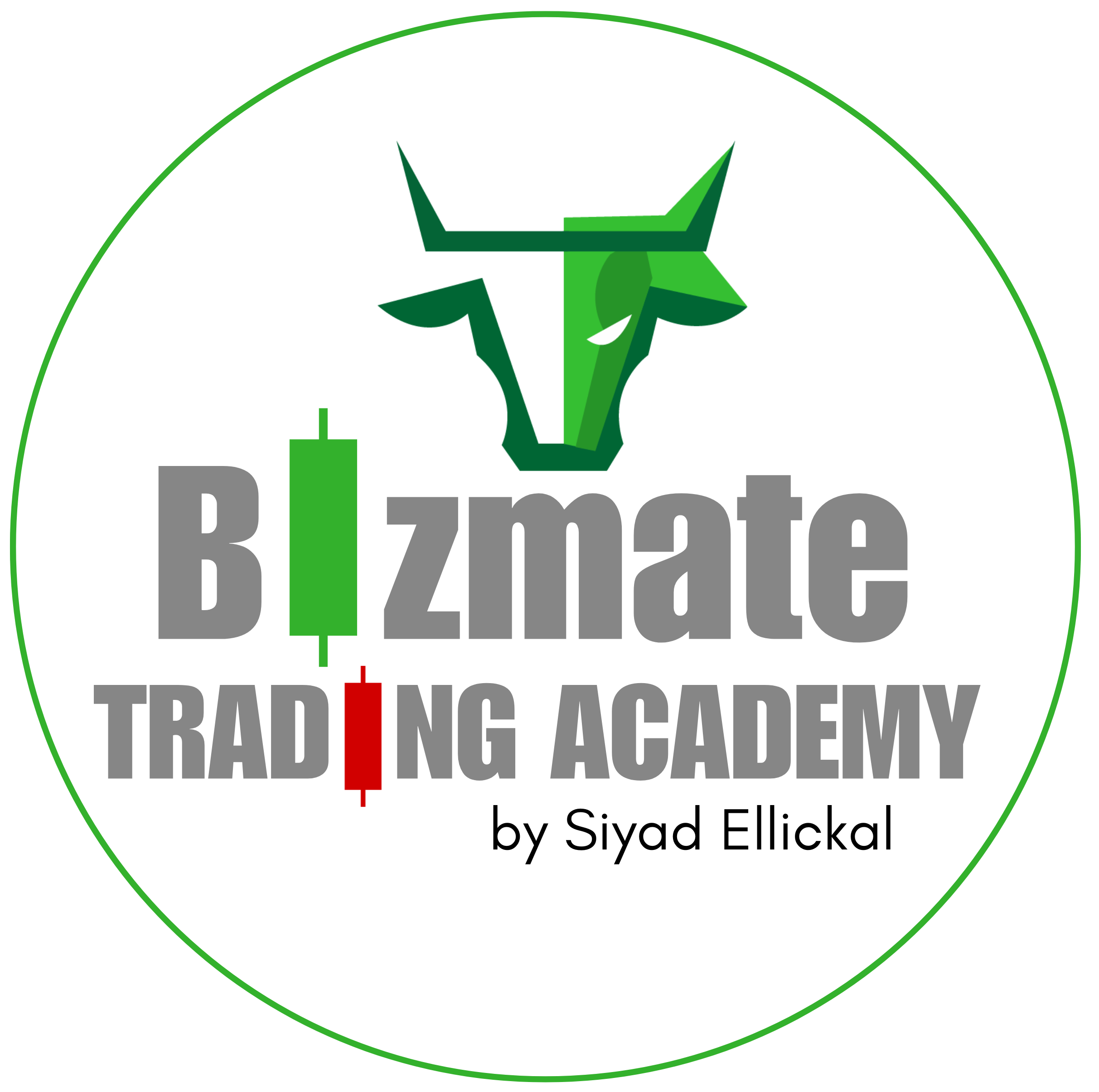 bizmatetrading.com