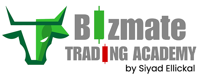 bizmatetrading.com